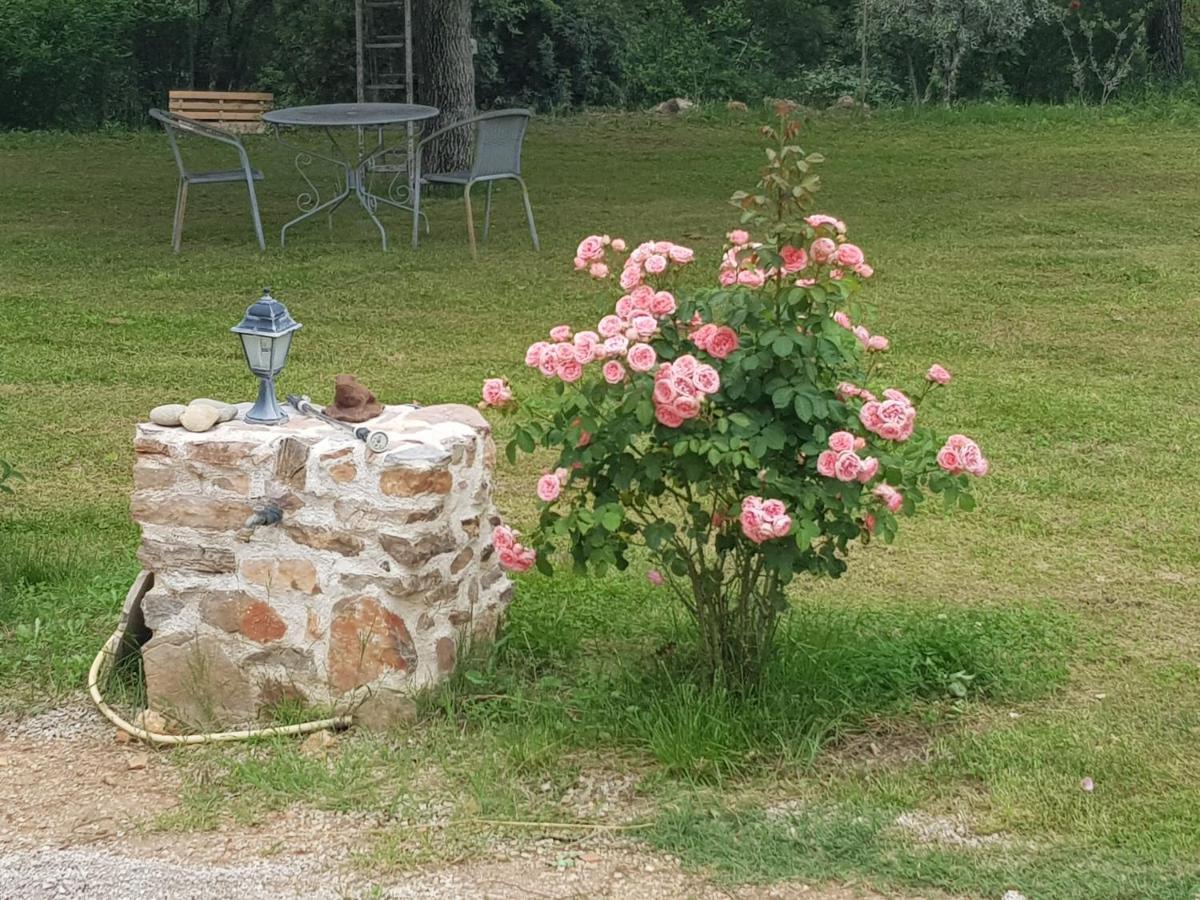 Bed and Breakfast Le Jardin Des Selves Draguignan Exterior foto